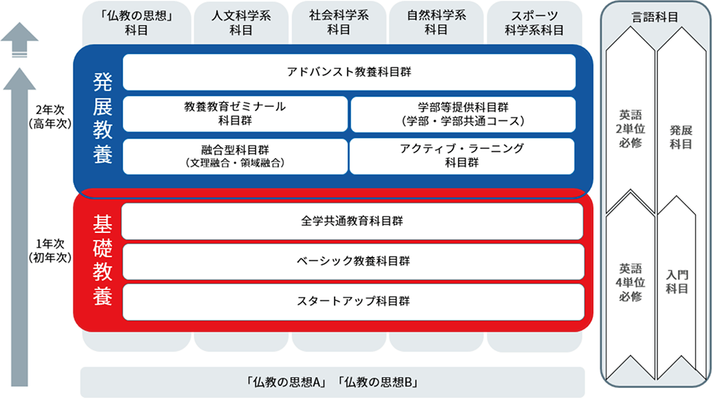 教養教育カリキュラム概念図