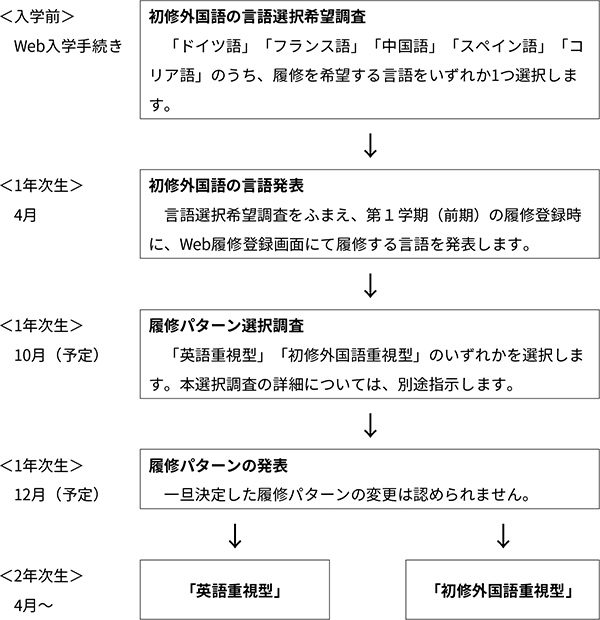 初修外国語の言語及び履修パターンの選択スケジュール